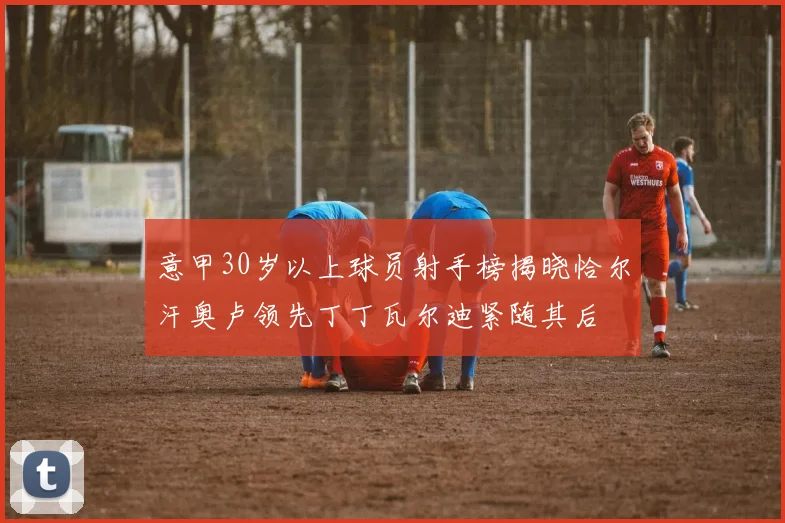 意甲30岁以上球员射手榜揭晓恰尔汗奥卢领先丁丁瓦尔迪紧随其后