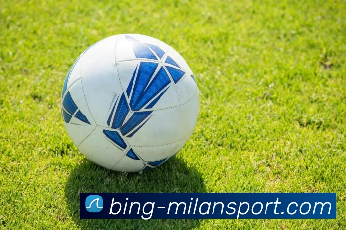 米兰体育平台生态图