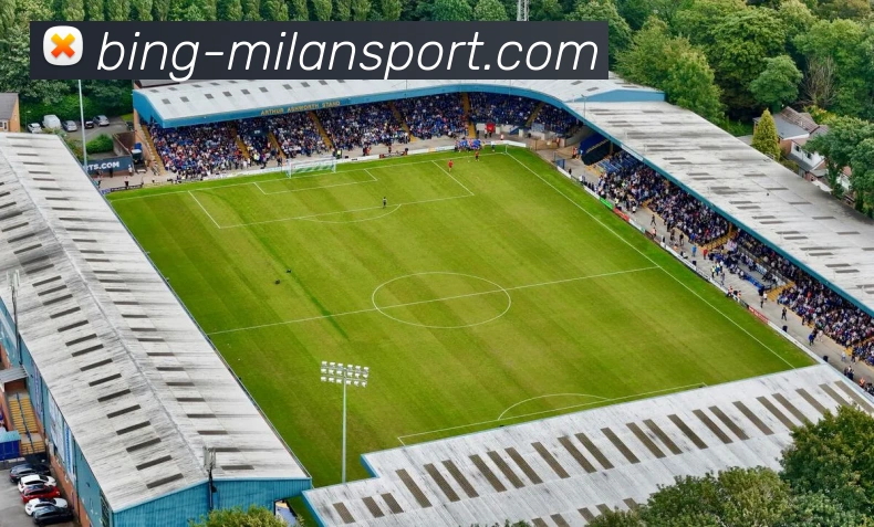 米兰体育APP 封面图